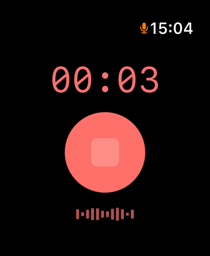 Active recording with timer and waveform